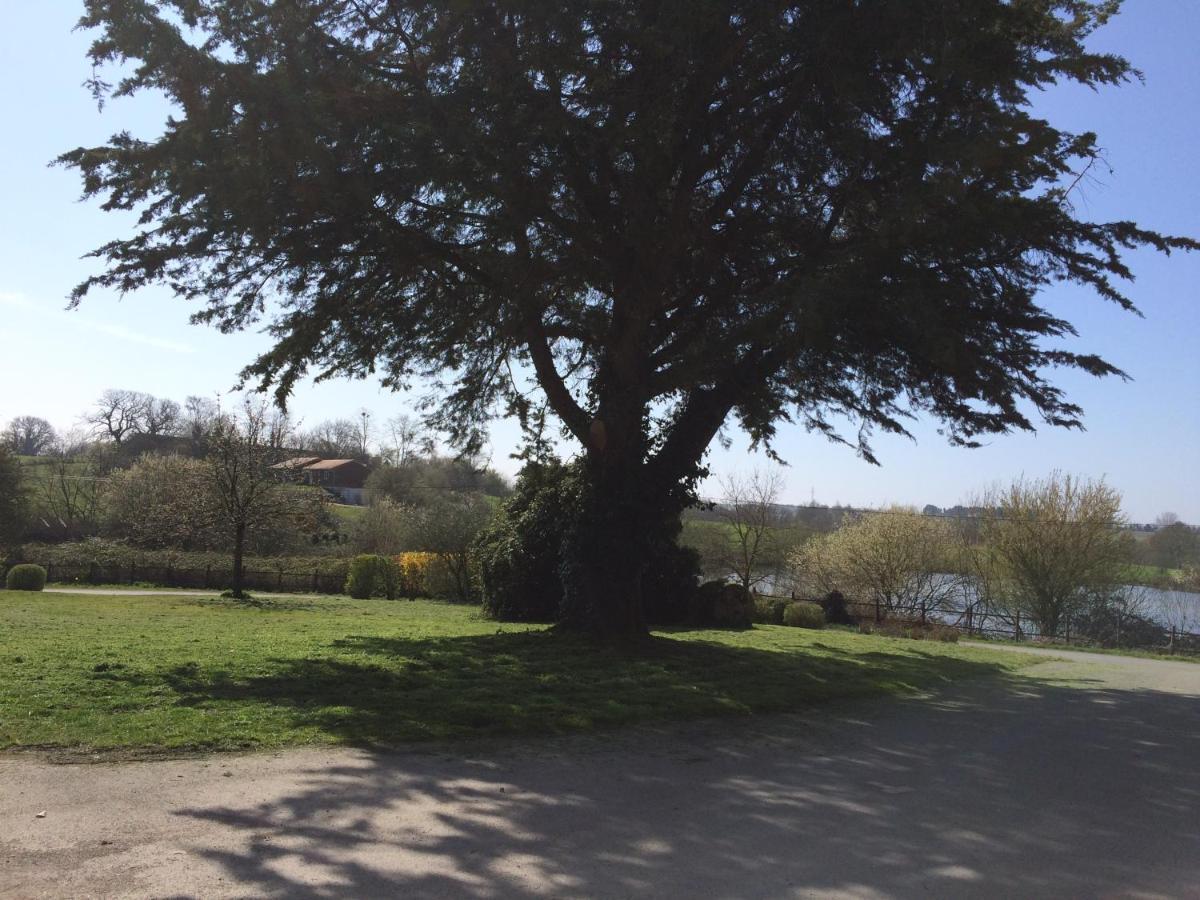 Le Petit Monty Gite Cote Etang Saint-Malo-du-Bois Exteriör bild